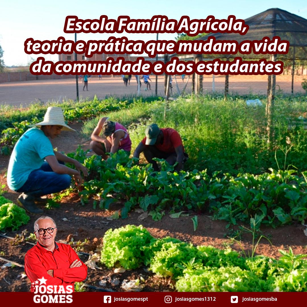A Ação Transformadora Da Escola Família Agrícola (EFA)!