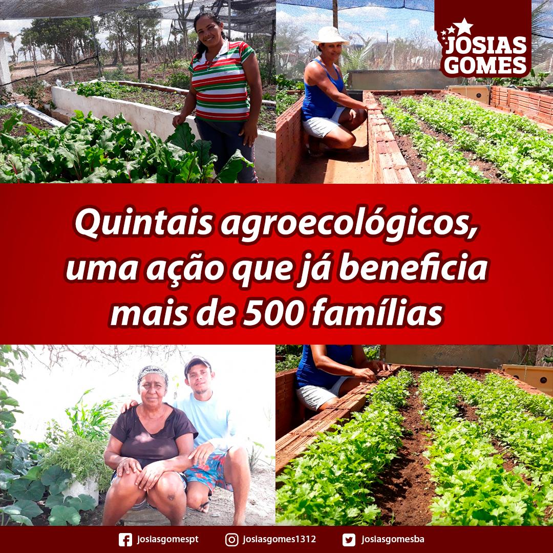 Quintais Agroecológicos Mudam A Vida Dos Agricultores!