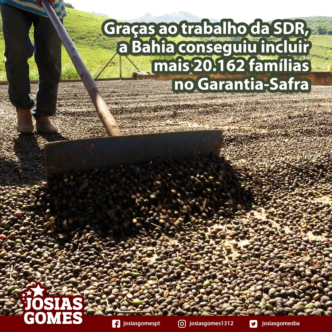 Mais 20.162 Famílias De Agricultores Familiares No Programa Garantia-Safra!