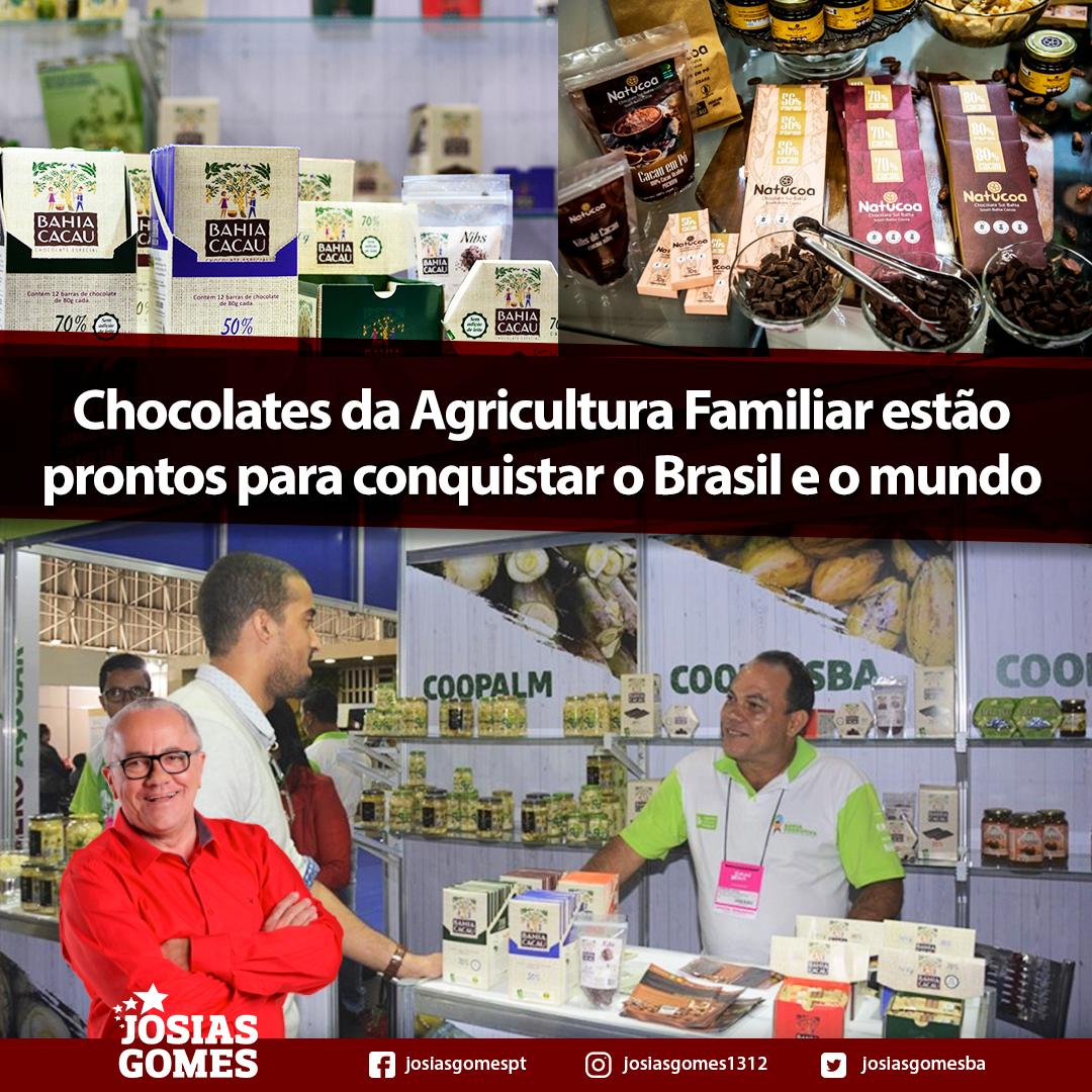 Cooperativas Baianas Apostam Na Produção De Chocolates Finos!