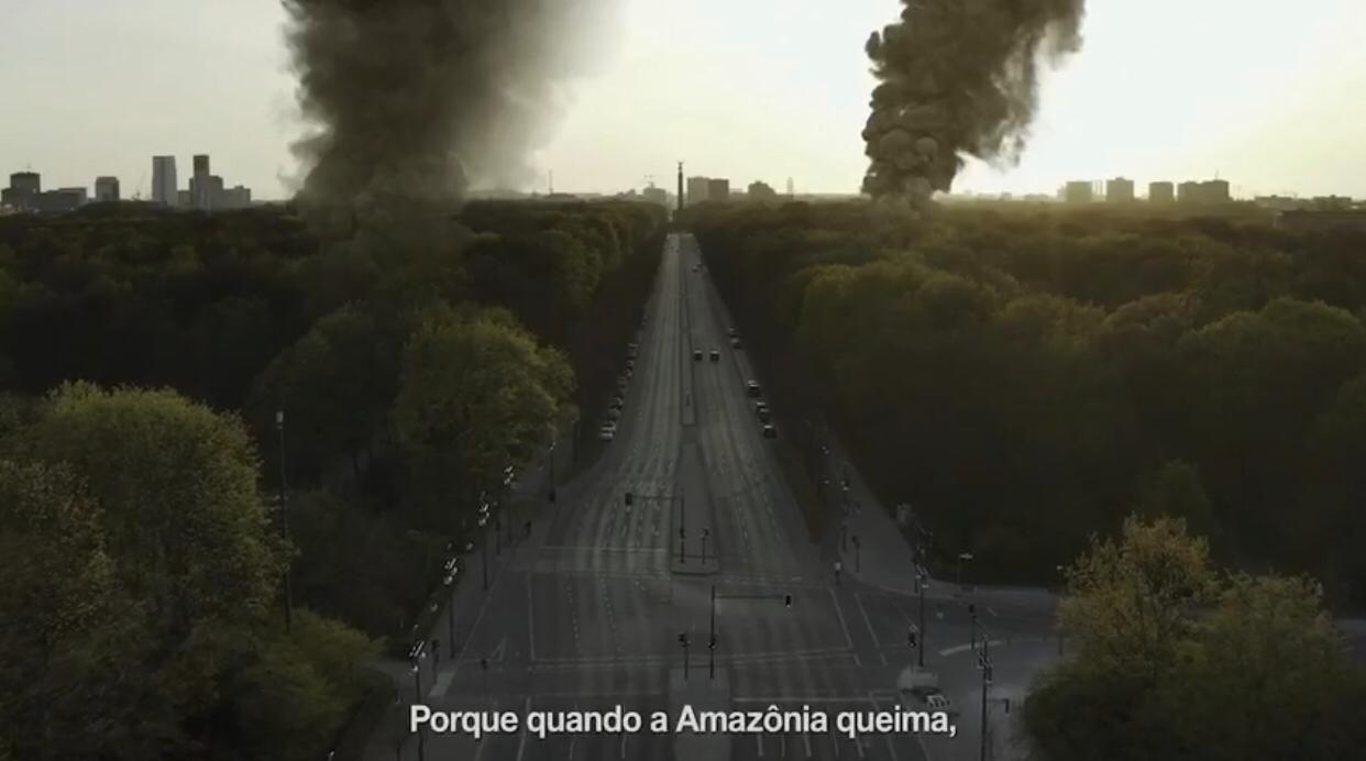 Amazônia Ou Bolsonaro, De Que Lado Você Está?