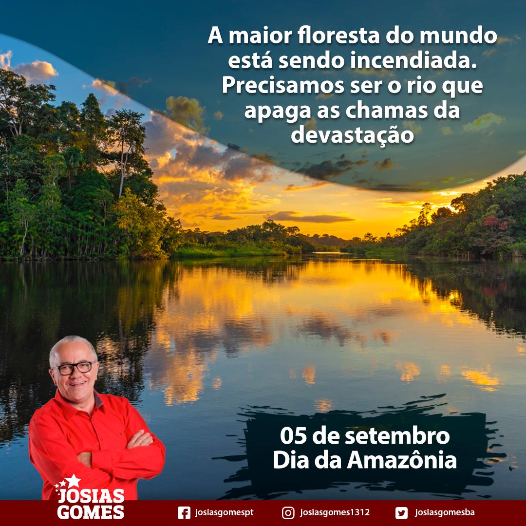 Desgoverno Bolsonaro Promove Destruição Da Amazônia!