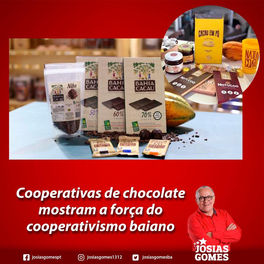 Cooperativas De Chocolate Valorizam Os Produtos Da Agricultura Familiar!