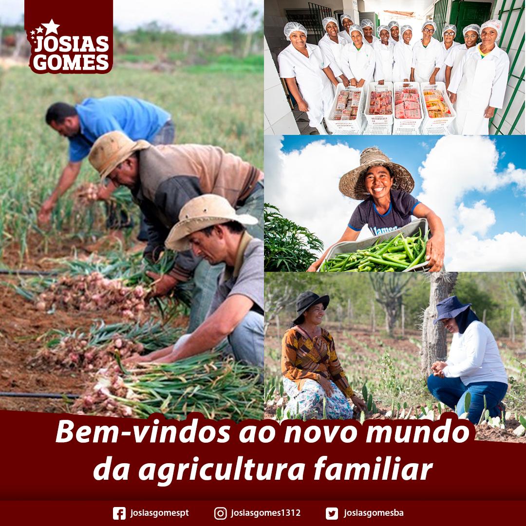 Apoio Do Estado Já Beneficiou 41.490 Famílias De Agricultores!