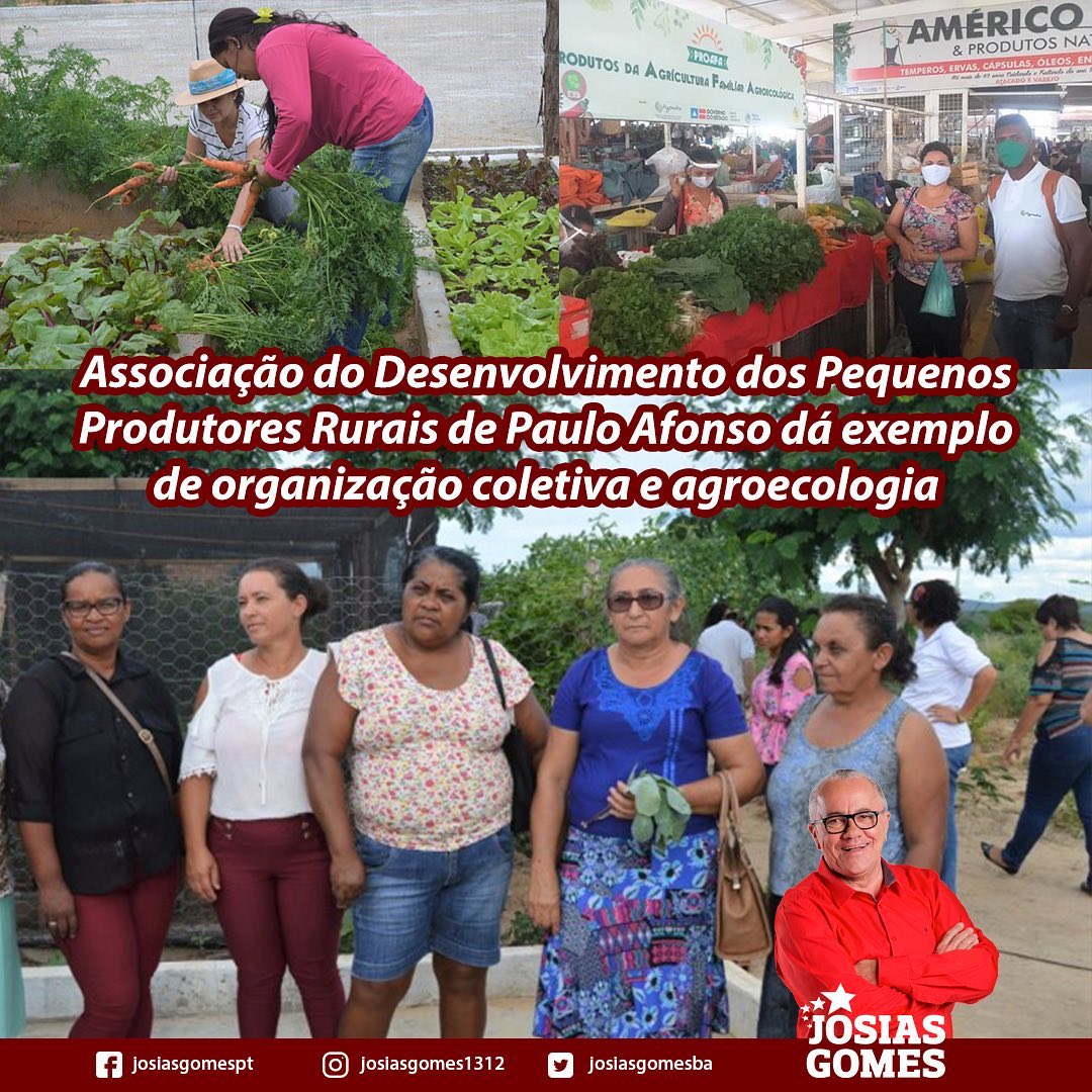 Associação Do Desenvolvimento Dos Pequenos Produtores Rurais De Paulo Afonso, Exemplo De Organização Coletiva E Agroecológica