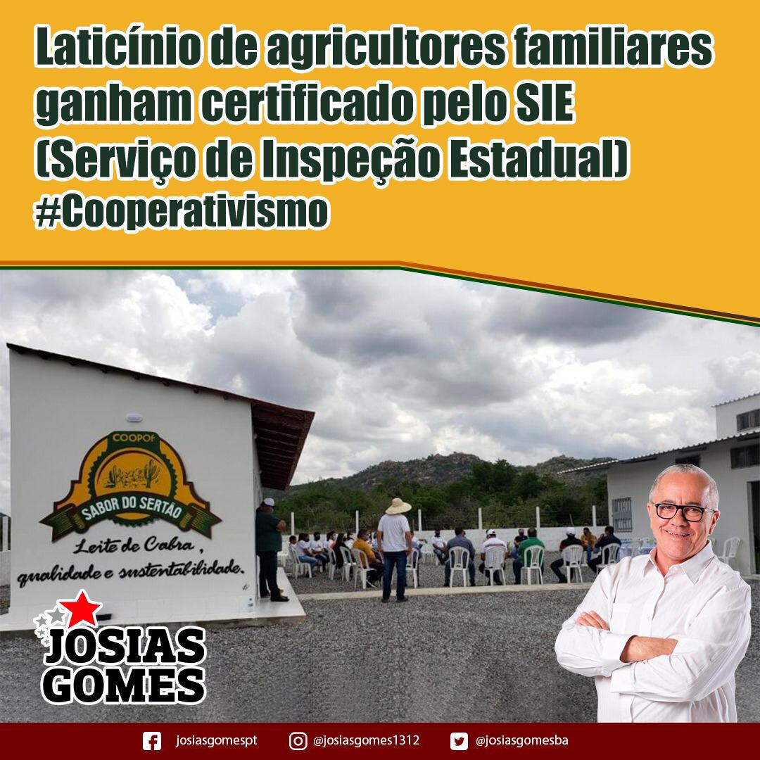 Laticínio Beneficiará 300 Famílias De Agricultores Em Curaçá!
