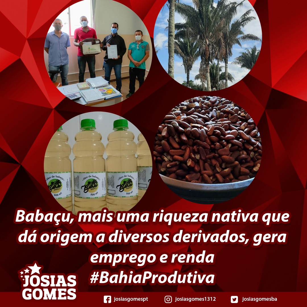 Em Jacobina, Agricultores Familiares Ganham Com A Produção Dos Derivados De Babaçu!