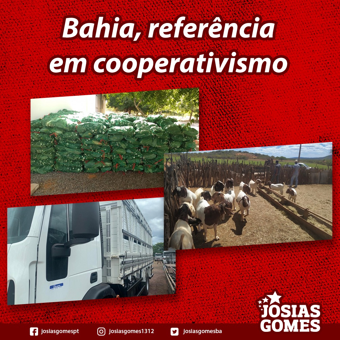 Em Manoel Vitorino, A Cooperativa Uniagro Recebe Investimentos Do Bahia Produtiva!