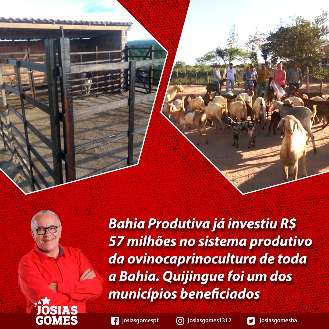 Investimento Na Ovinocaprinocultura Beneficia 3.753 Agricultores Familiares De Quijinque!