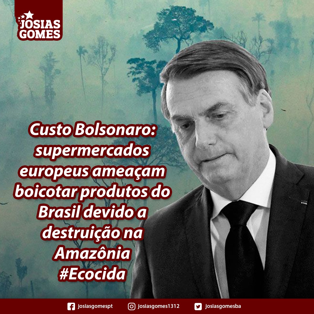 Custo Bolsonaro: Os Empresários Estrangeiros Estão Se Cansando Da Desatenção Do Governo Com O Meio Ambiente
