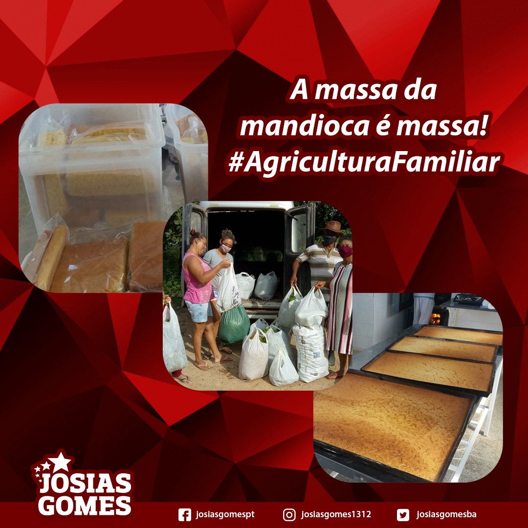 Governo Do Estado Investe R$ 15,5 Milhões No Sistema Produtivo Da Mandioca Em Toda A Bahia!