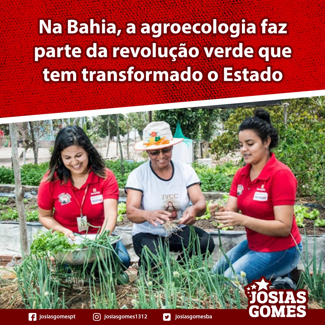 Na Bahia, A Agroecologia Já é Parte Integrante Da Revolução Verde!