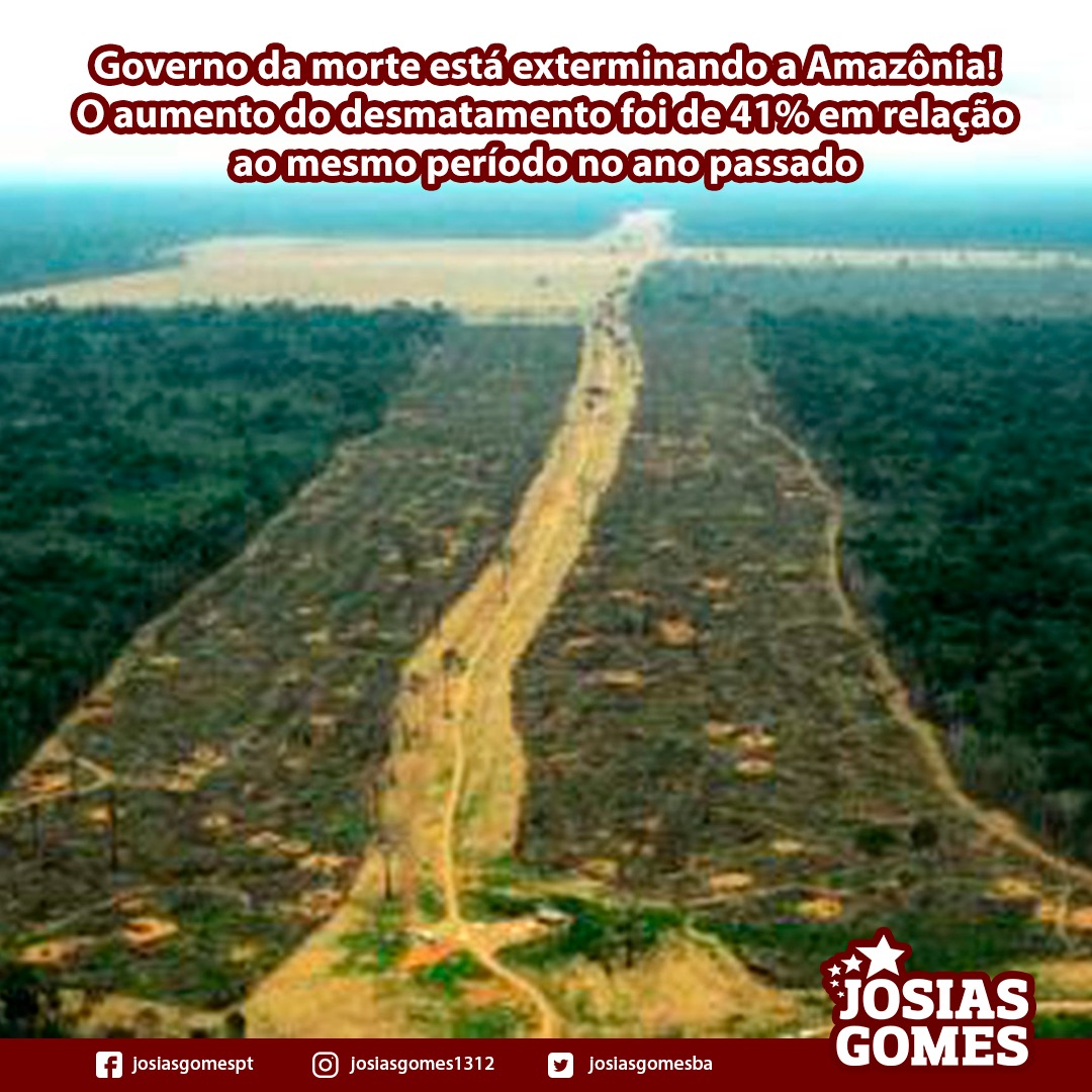 Segue O Desmatamento Criminoso Na Amazônia!