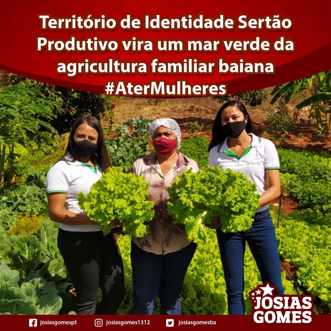 Programa ATER Mulheres Já Beneficiou 540 Agricultoras Familiares!