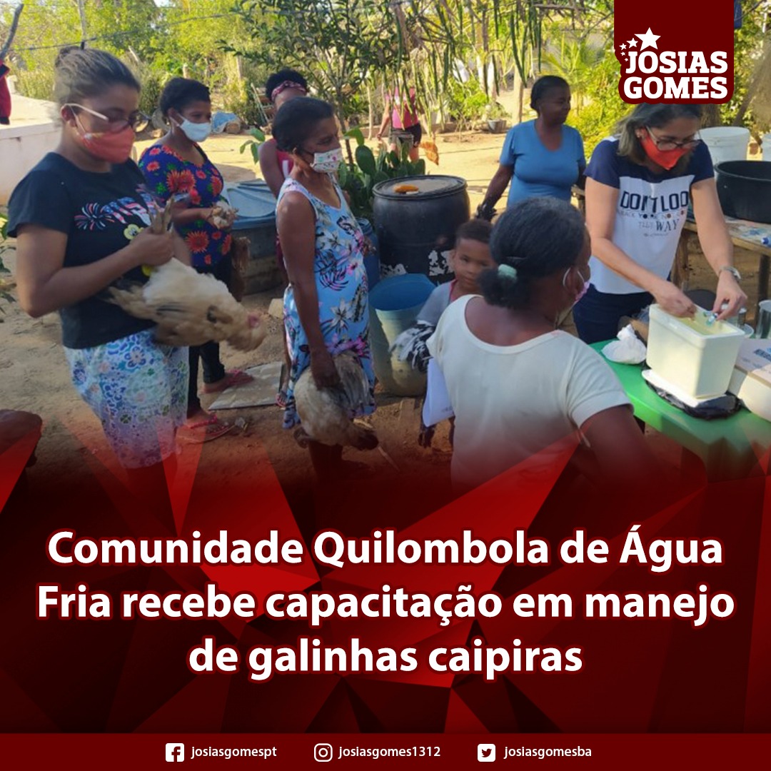 Em Serra Do Ramalho, A Comunidade Quilombola De Água Fria Recebeu Capacitação No Manejo De Galinhas Caipiras!