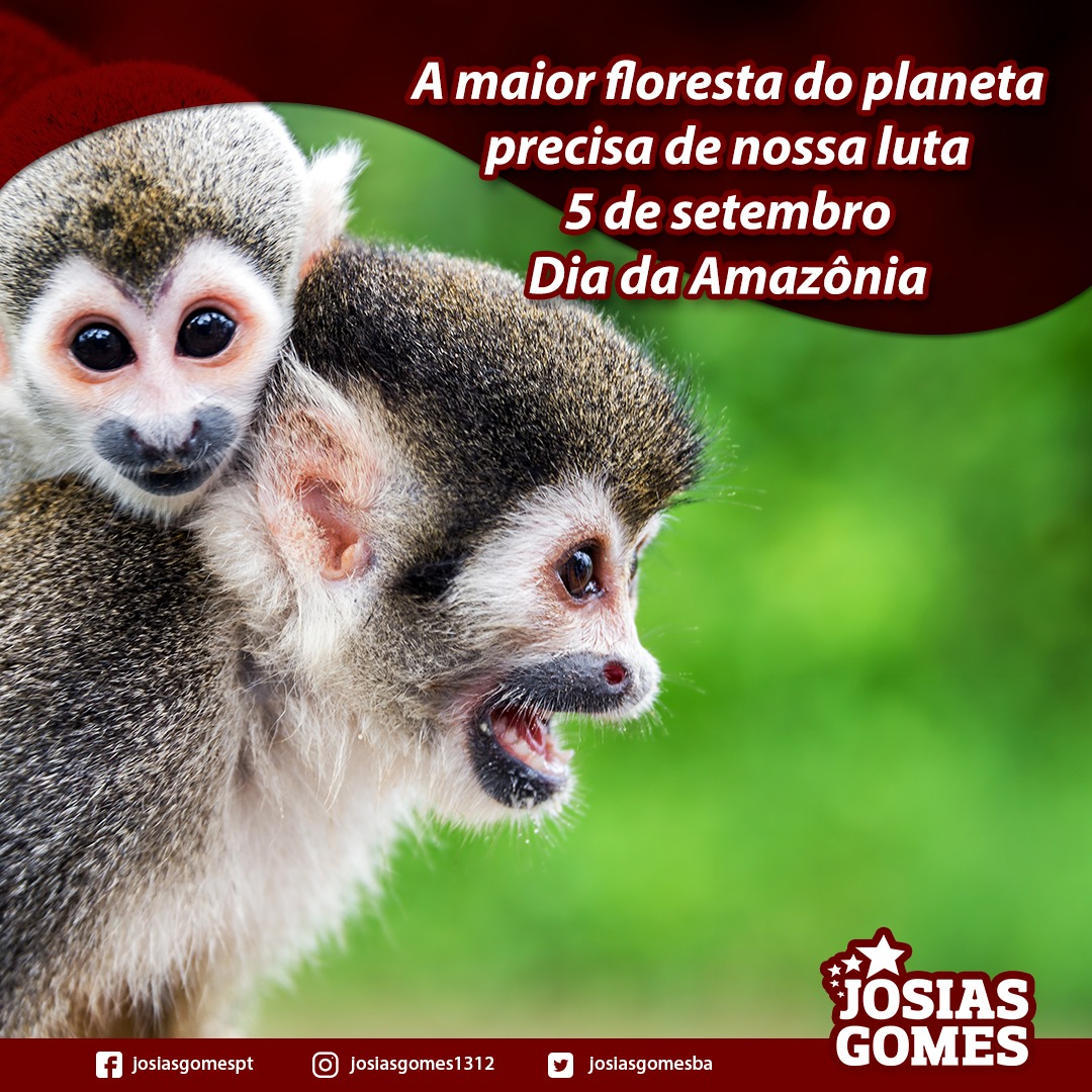 Salvemos A Floresta Amazônica!