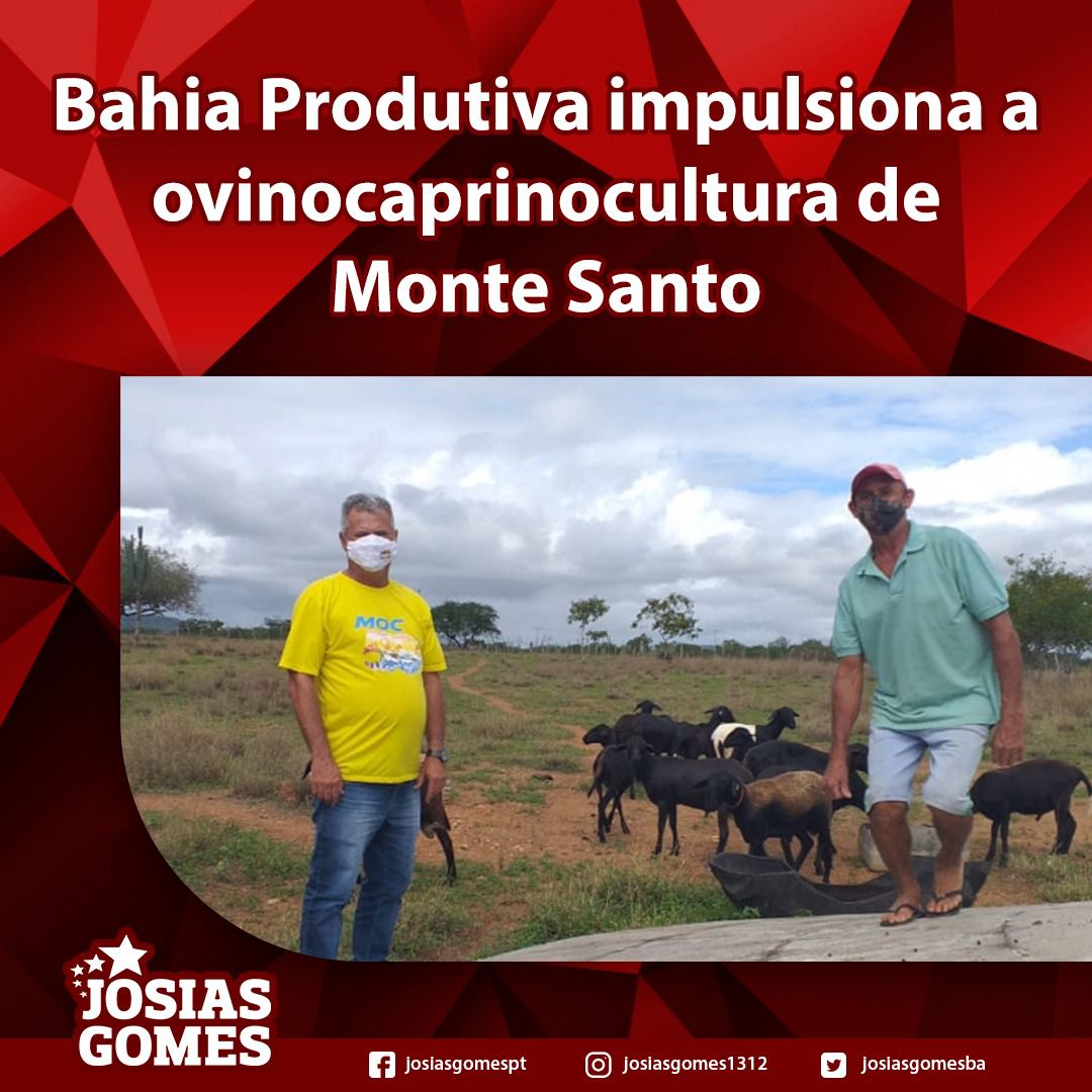 Bahia Produtiva Impulsiona A Ovinocaprinocultura De Monte Santo