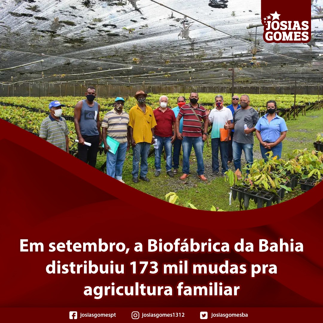 Biofábrica Entrega Mais 173 Mil Mudas De Plantas A Agricultores Familiares!