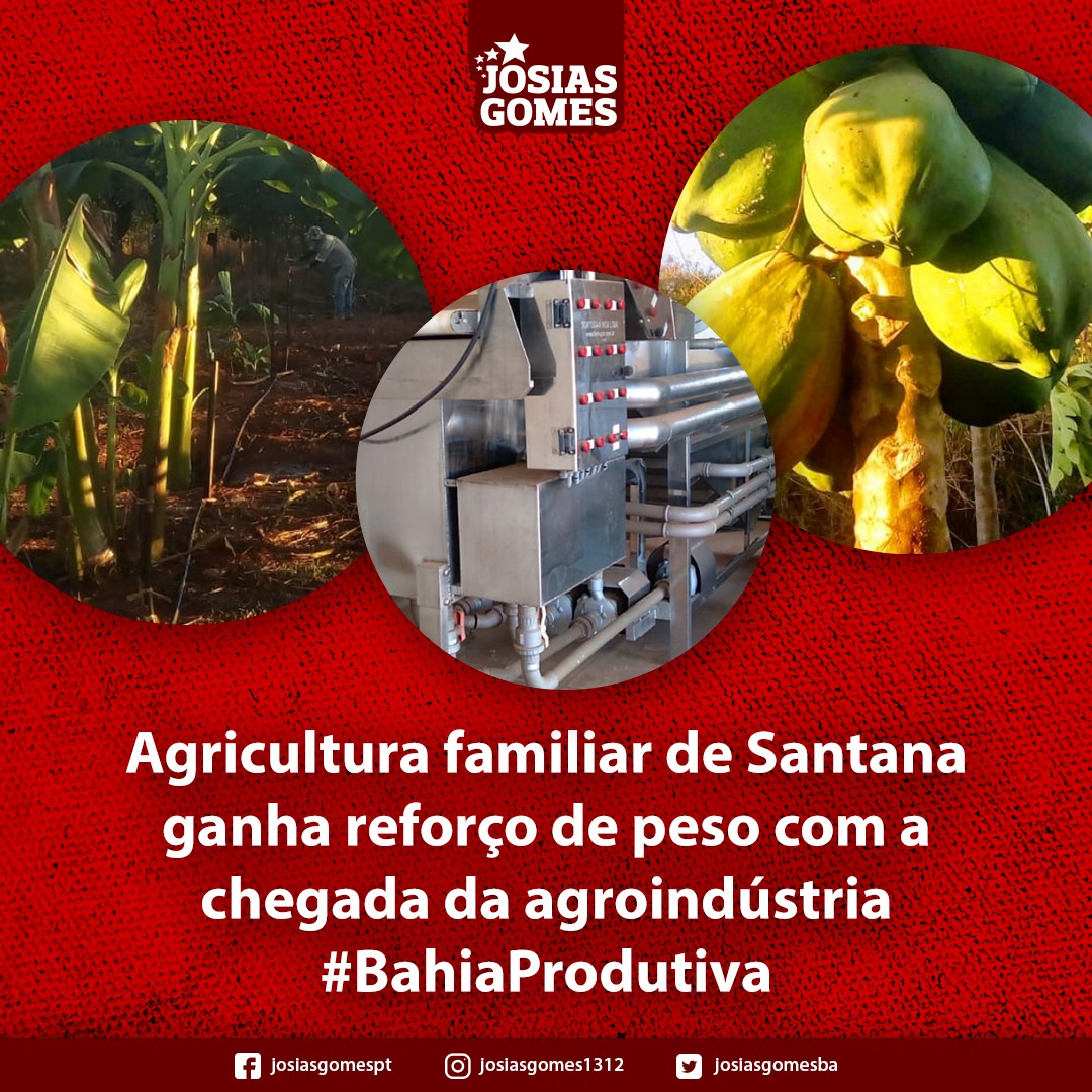 Santana: SDR Investe R$ 767 Mil Em Agroindústria Processadora De Polpas De Frutas!
