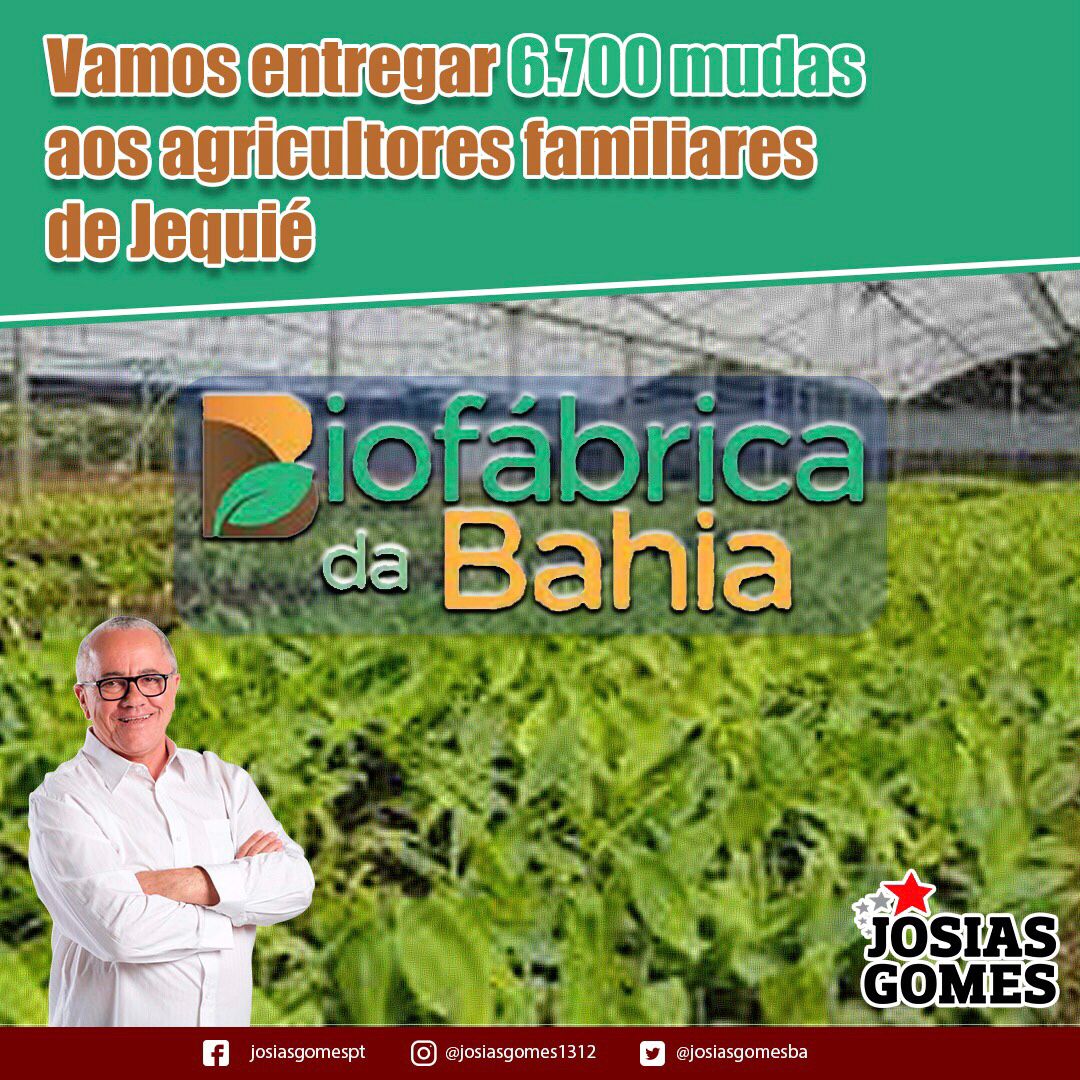 Biofábrica Entregará 6.700 Mudas Selecionadas A Agricultores Familiares De Jequié!