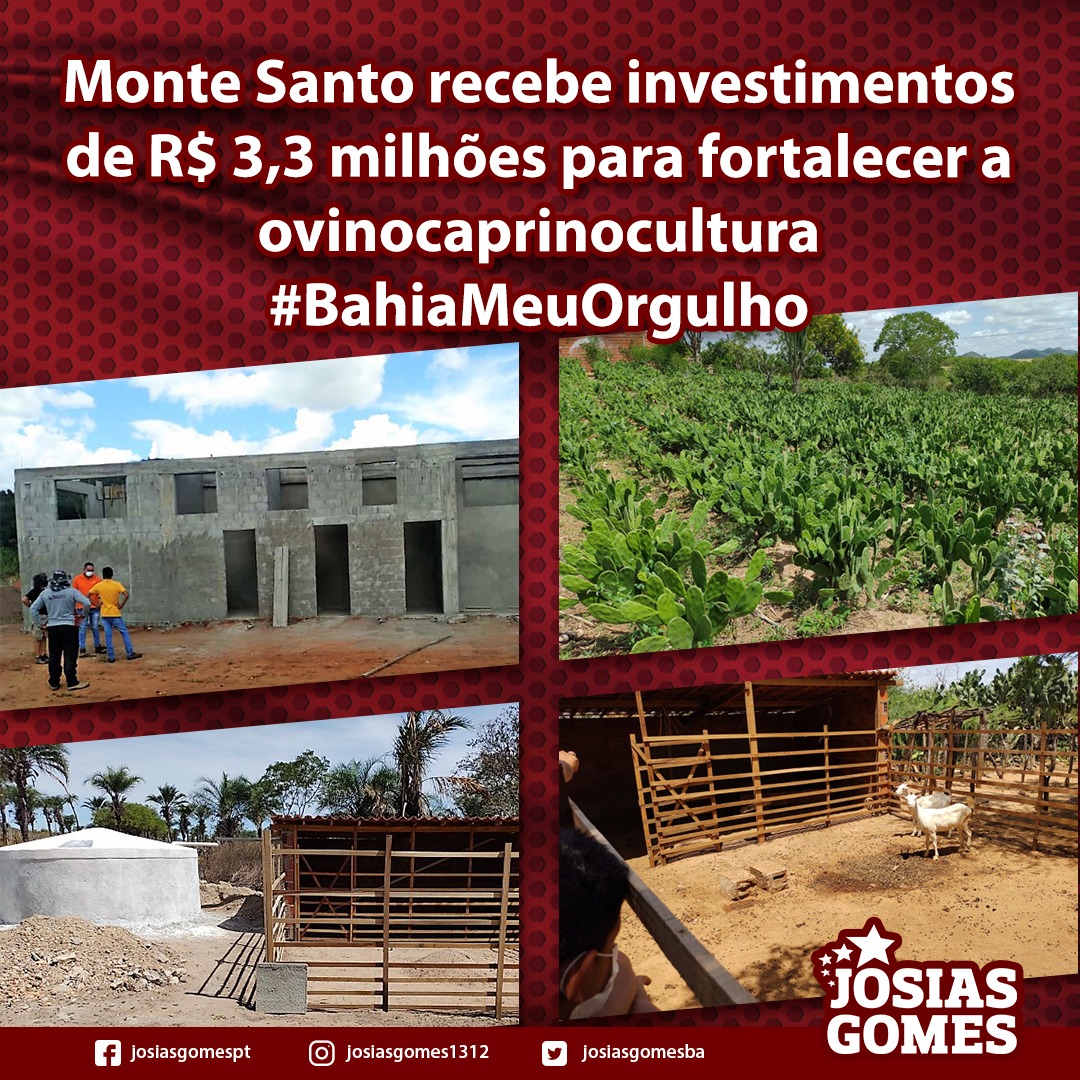 Investimento De R$ 3,3 Milhões Fortalece A Ovinocaprinocultura!