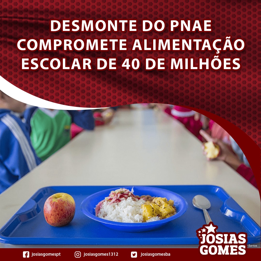 Gravíssimo! Bolsonaro Conseguiu Desmontar A Alimentação Escolar Do Brasil
