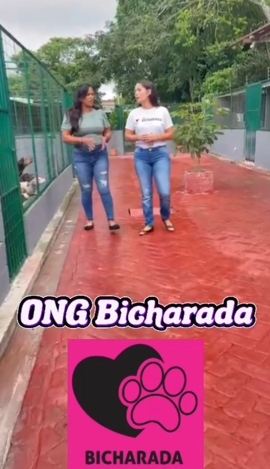 Ajude A ONG Bicharada