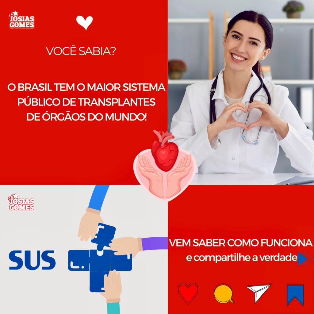 Conheça Como Funciona A “fila” De Transplantes No Brasil! Viva O SUS