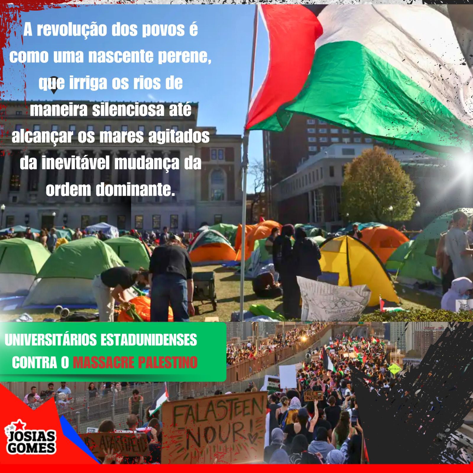 Universitários Norte-americanos Protestam Contra O Massacre Na Palestina. Basta De Guerra!